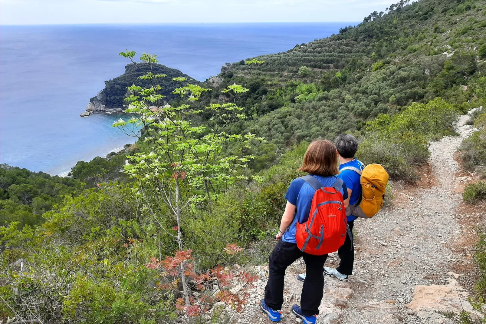 Casetta - Gebieden zomer 5km