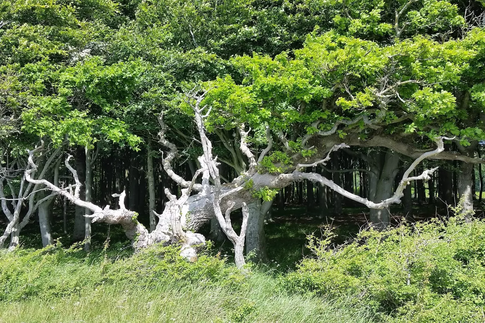 6 Personen vakantie huis in Dannemare-Niet-getagd