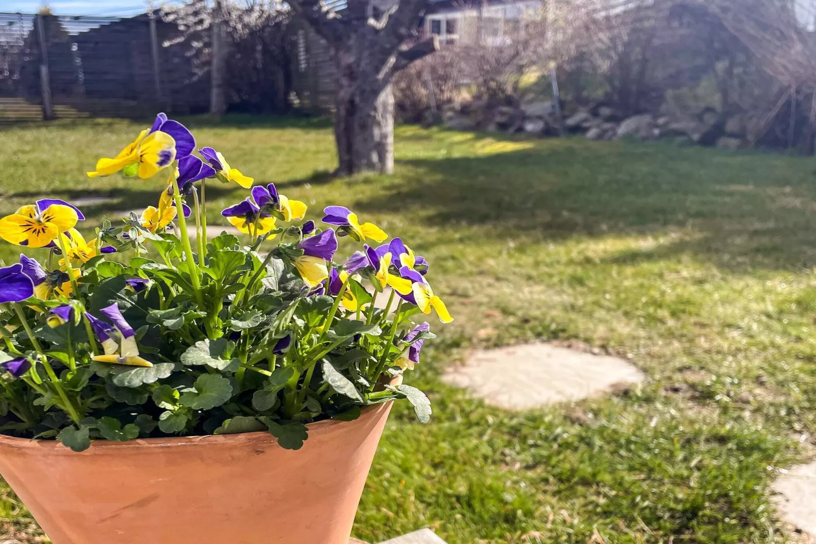 4 sterren vakantie huis in MYGGENäS-Buitenlucht