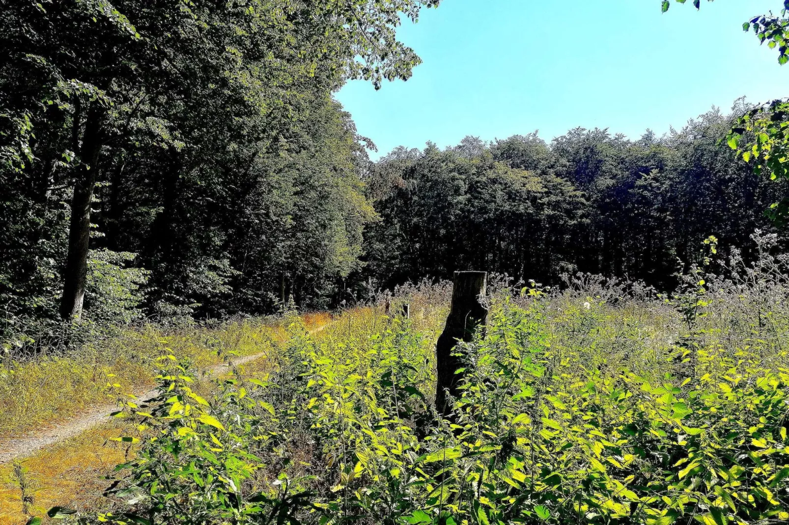 6 Personen vakantie huis in Dannemare-Niet-getagd