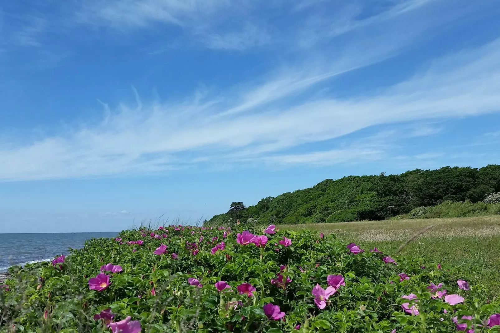 6 Personen vakantie huis in Dannemare-Waterzicht