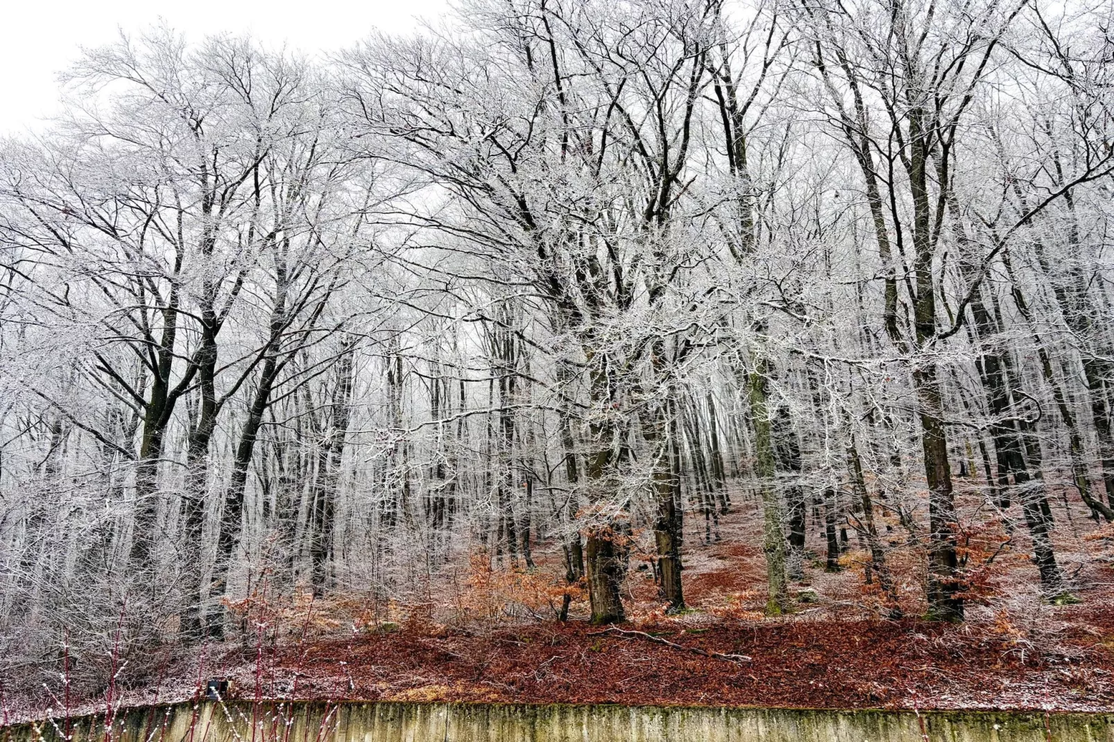 Apartment First Floor-Gebied winter 5km