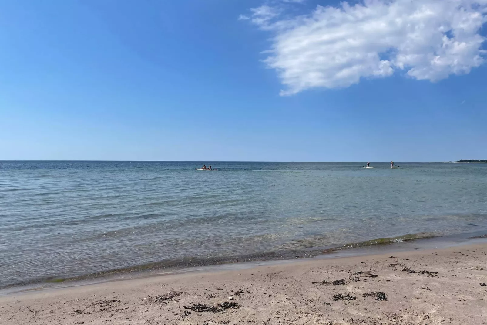 4 sterren vakantie huis in Gotlands Tofta