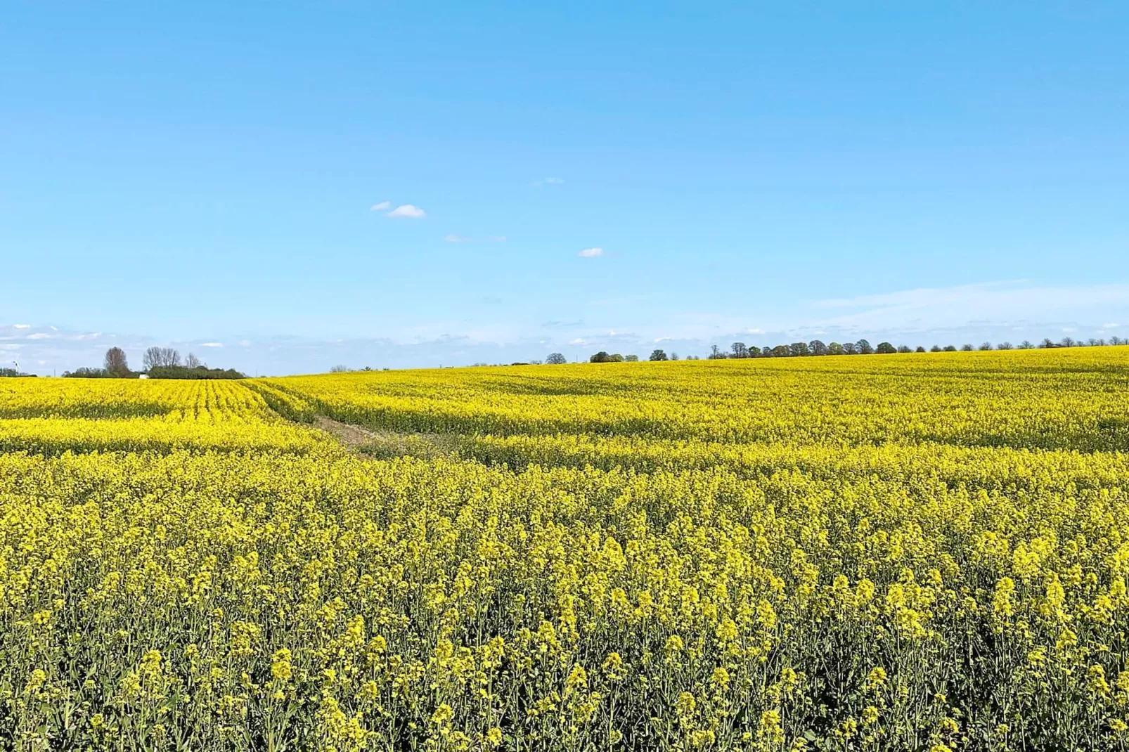 4 sterren vakantie huis in BÅSTAD-By Traum-Niet-getagd