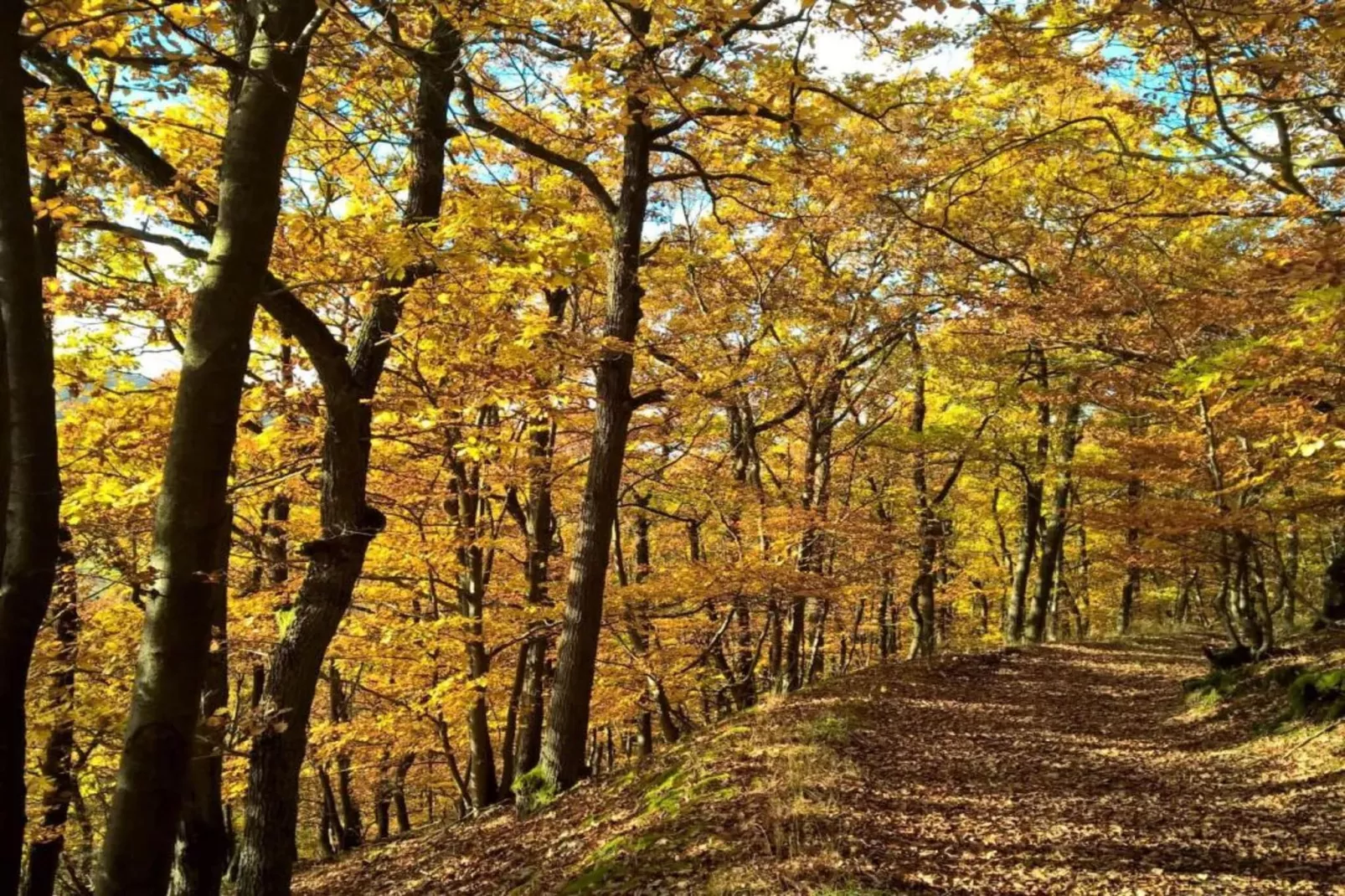 Im Sauerland-Gebieden zomer 20km