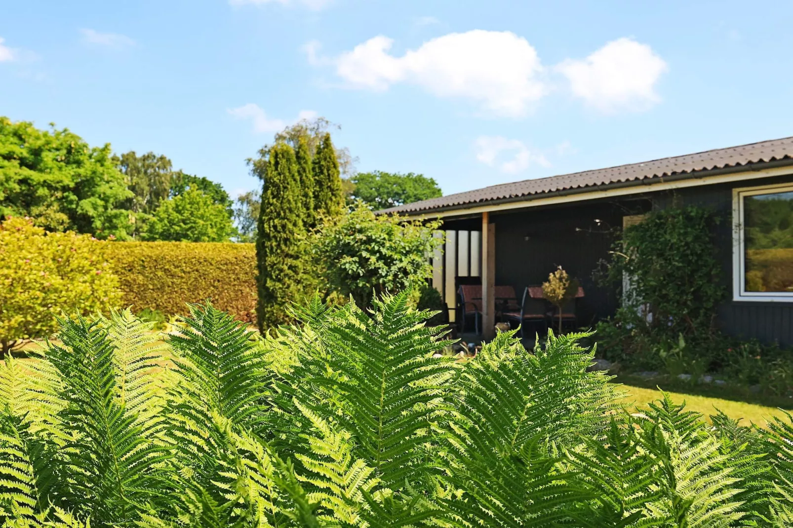 6 persoons vakantie huis in Faxe Ladeplads-Uitzicht