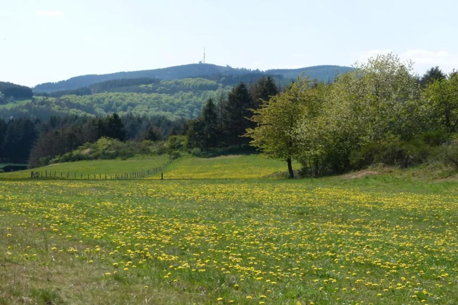 Im Sauerland-Gebieden zomer 20km
