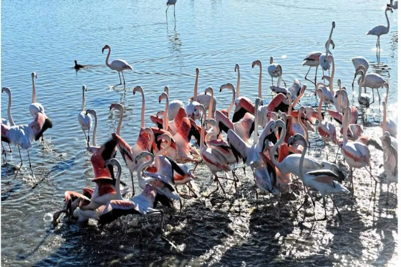 Résidence Quai Aux Fleurs-Niet-getagd