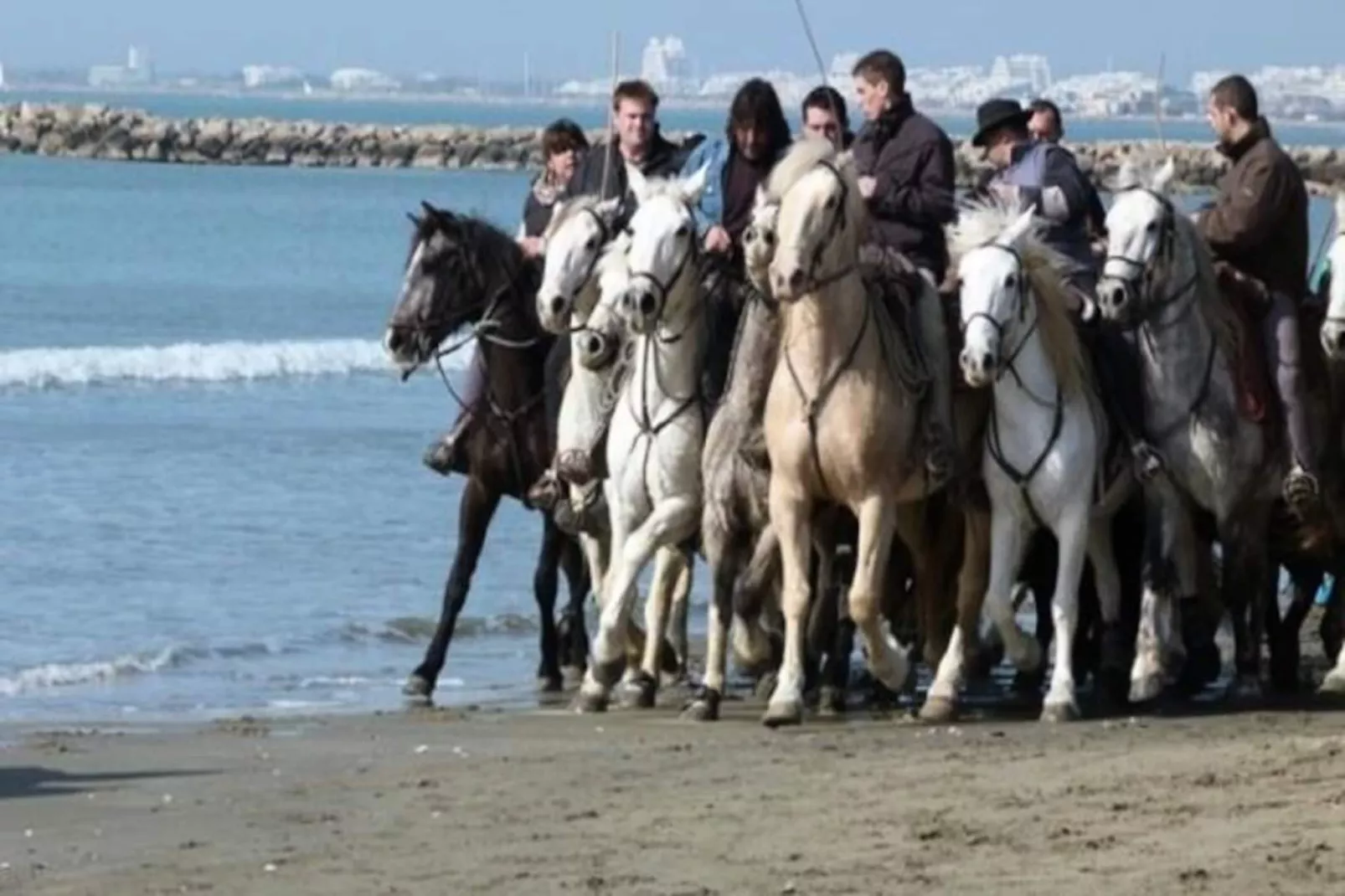 Résidence Quai Aux Fleurs-Niet-getagd