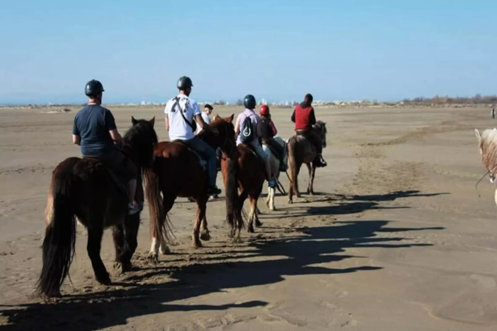 Résidence Quai Aux Fleurs-Niet-getagd