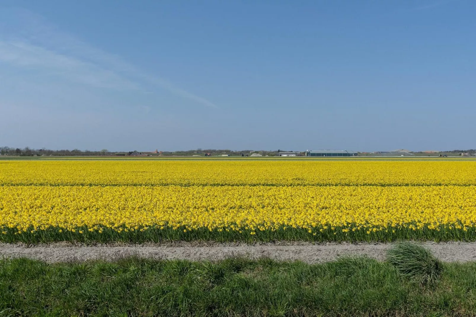 Ooghduyne 75-Gebieden zomer 5km
