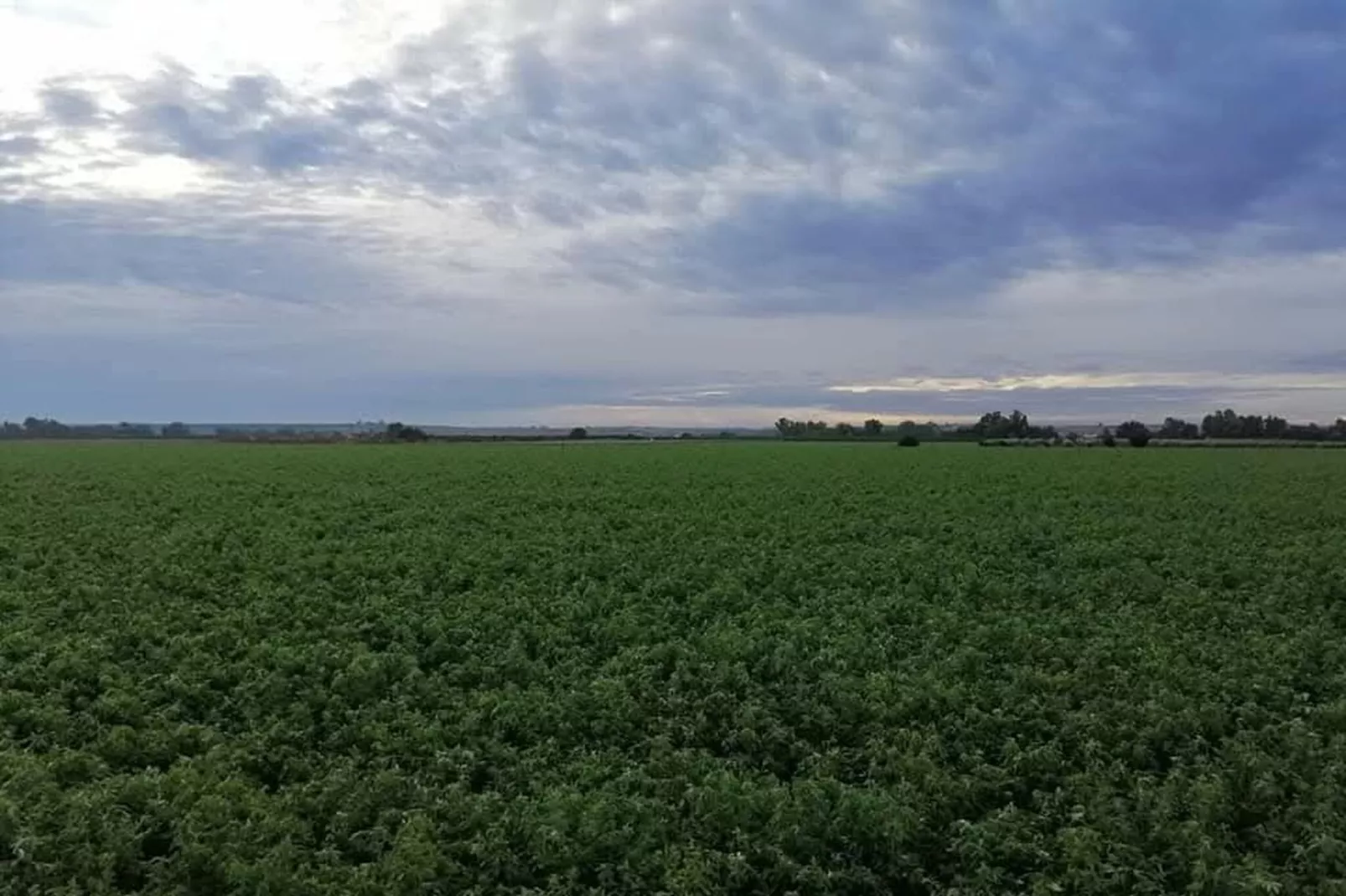 El rincón de Rivero - Gebieden zomer 20km