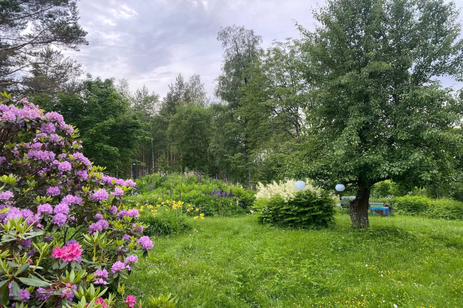 4 sterren vakantie huis in GULDSMEDHYTTAN-Buitenlucht