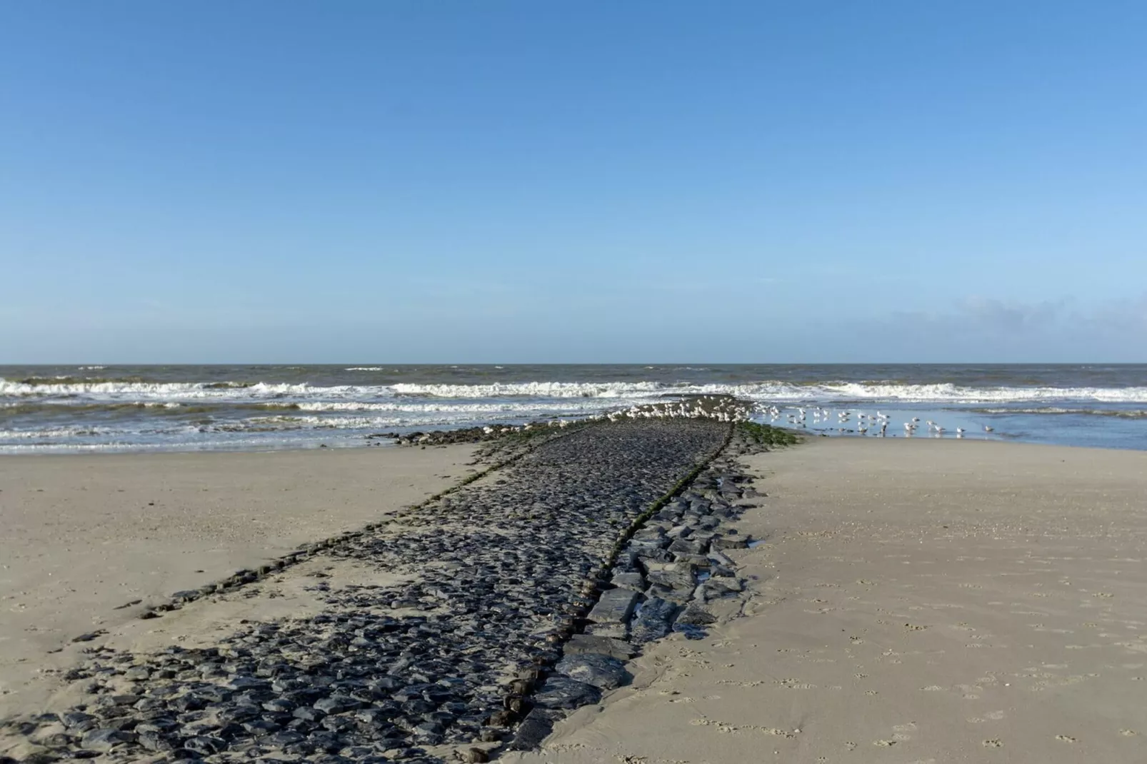 Suite Uitwaayer - Gebieden zomer 5km