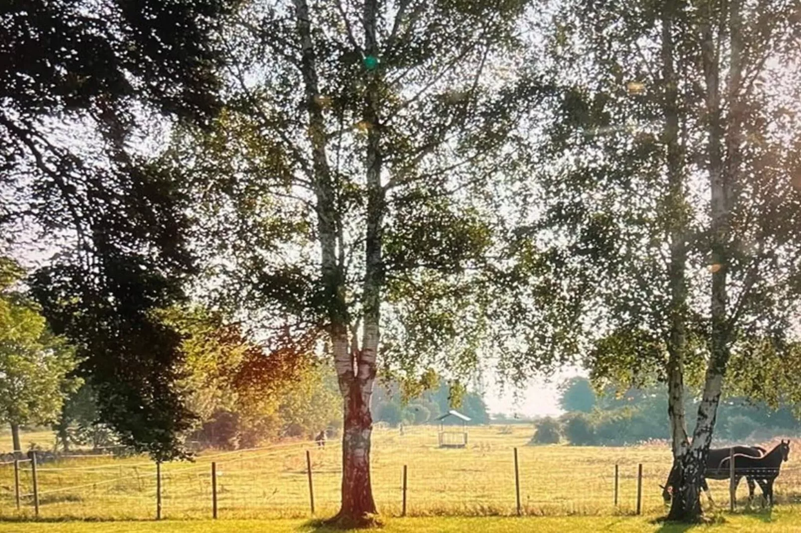 6 Personen vakantie huis in LÖTTORP - Buitenlucht