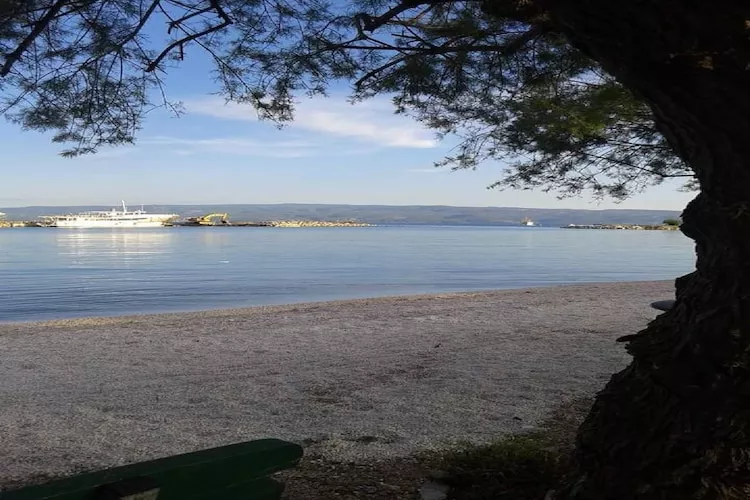 Apartments Roko (ST) - Economy One Bedroom Apartment with Shared Terrace (A2)-Sfeer