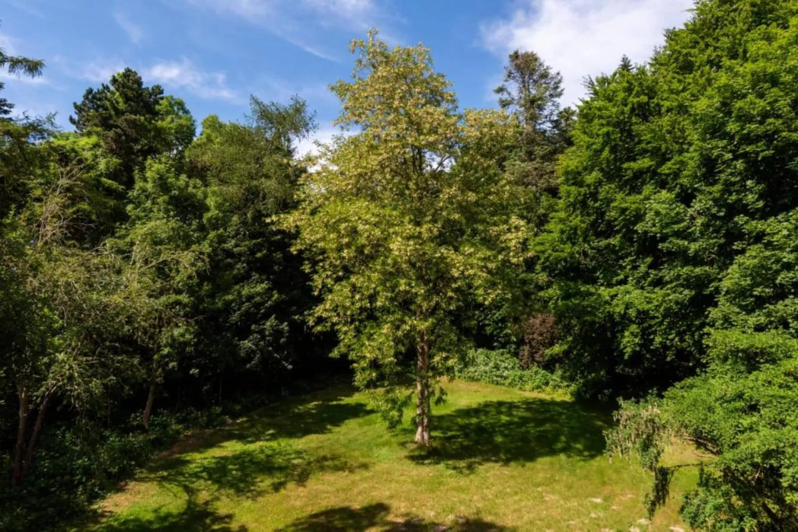 Rugen 2-bedroom suite 5 guest-Tuinen zomer