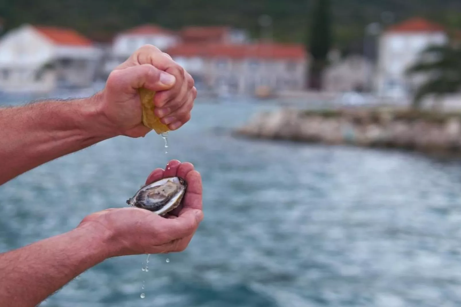 Apartments Kula - One-Bedroom Apartment with Terrace and Sea View-A2-Sfeer