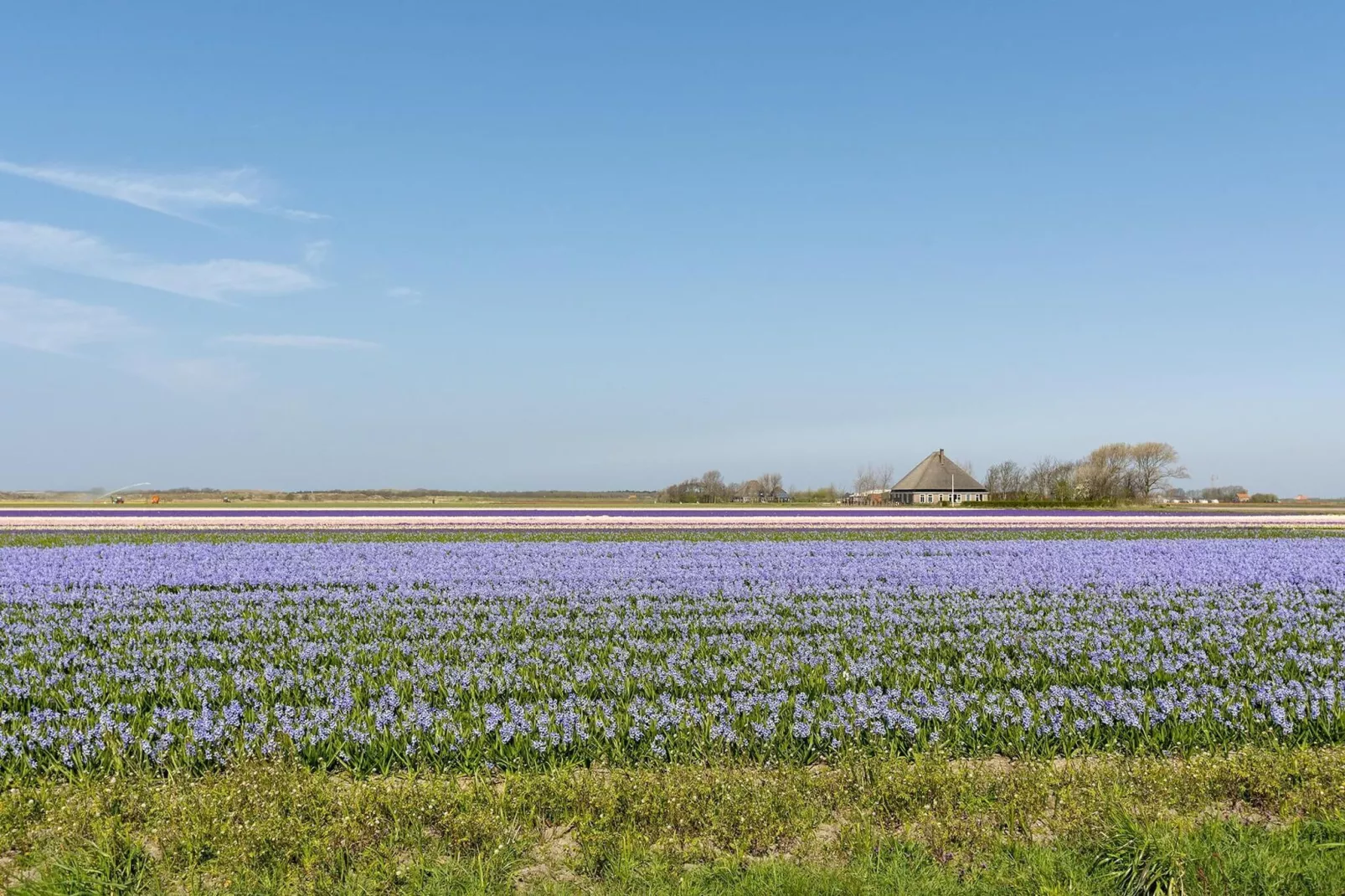 Ooghduyne 148-Gebieden zomer 1km