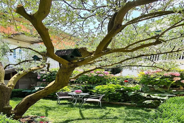 Holiday Home Gea - Three Bedroom Holiday Home with Terrace and Partial Sea View-Tuinen zomer