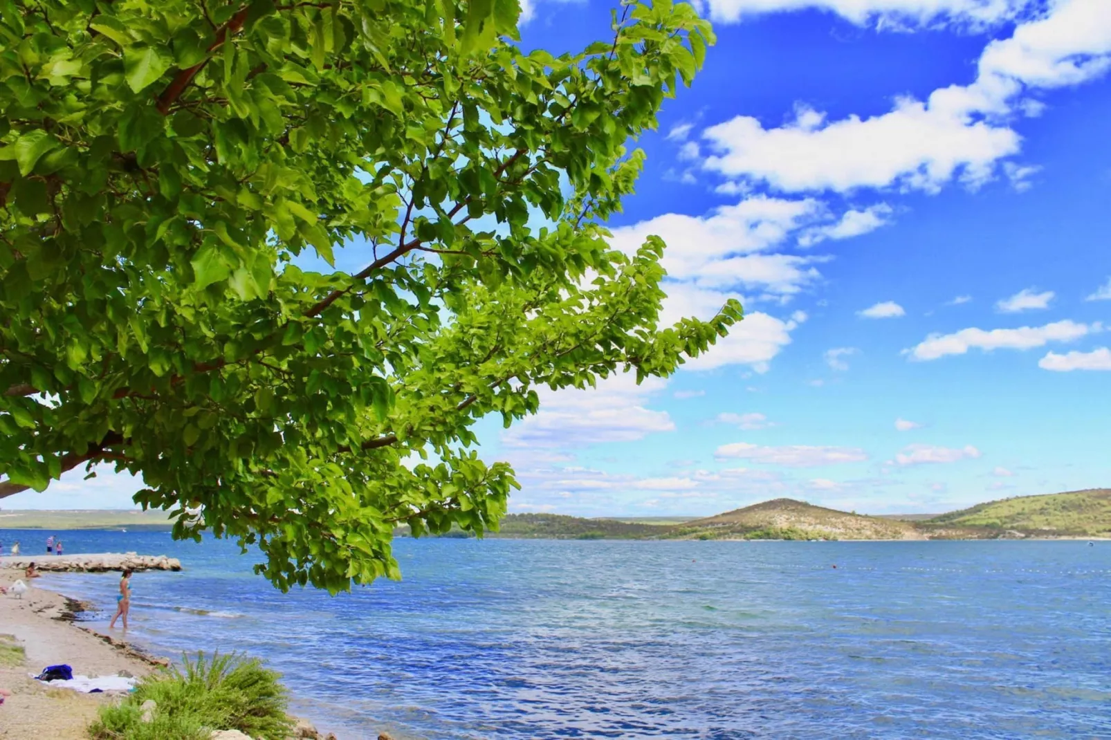 Apartment ALAN Sibenik - Bilice A6-4-Gebieden zomer 1km