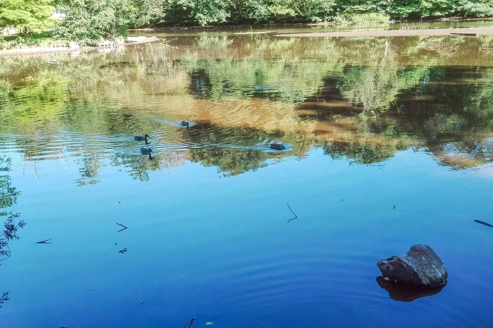 4 persoons vakantie huis in Tønder-By Traum-Waterzicht