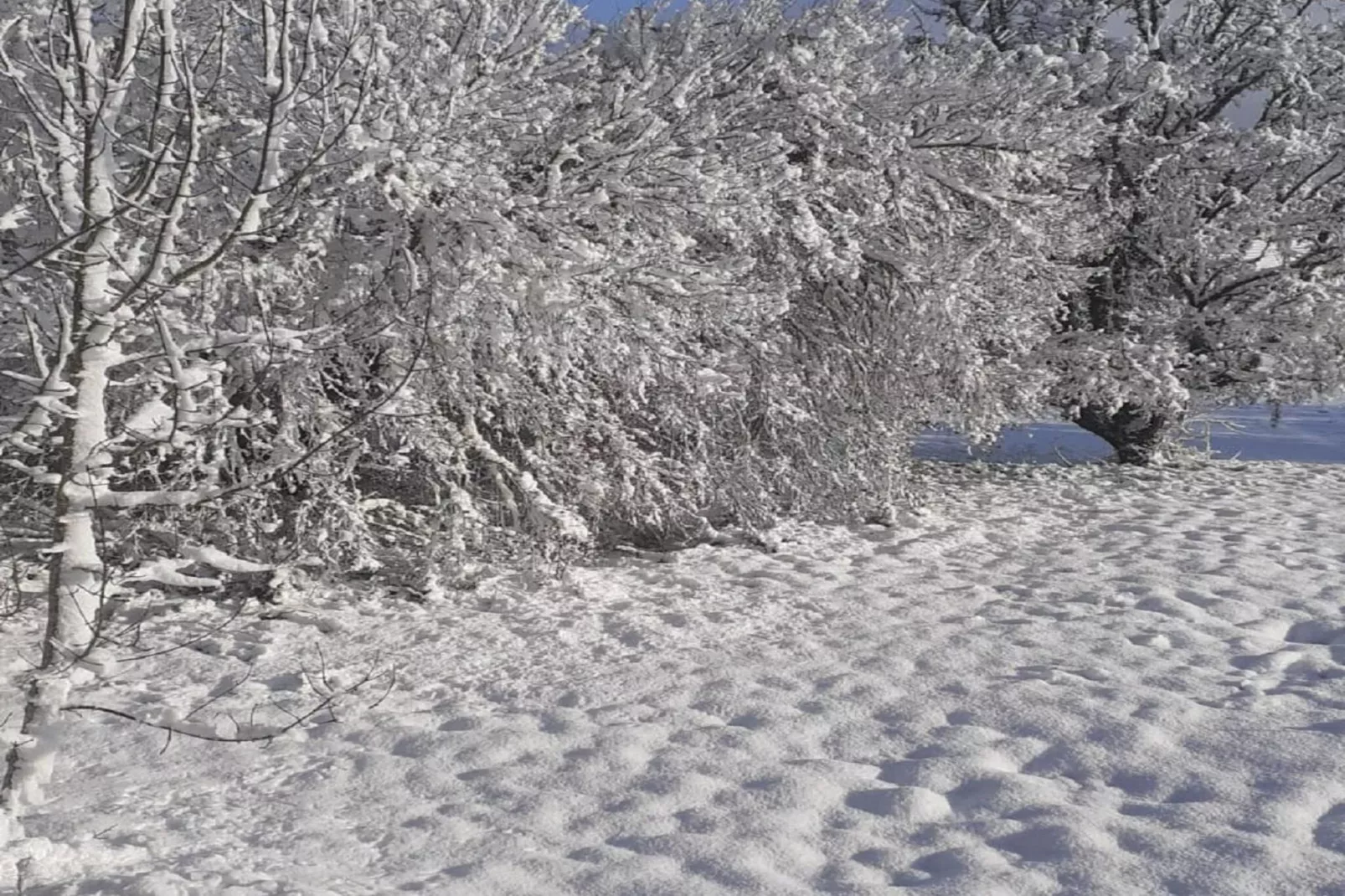 Le Place-Gebied winter 1km