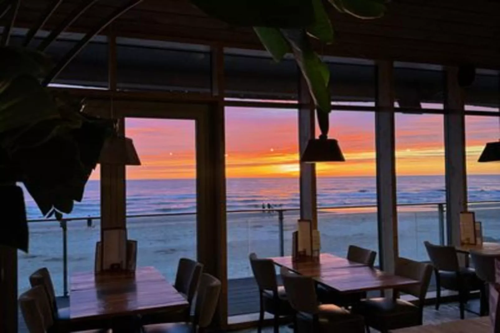 Reddingshuisje - Duynpark