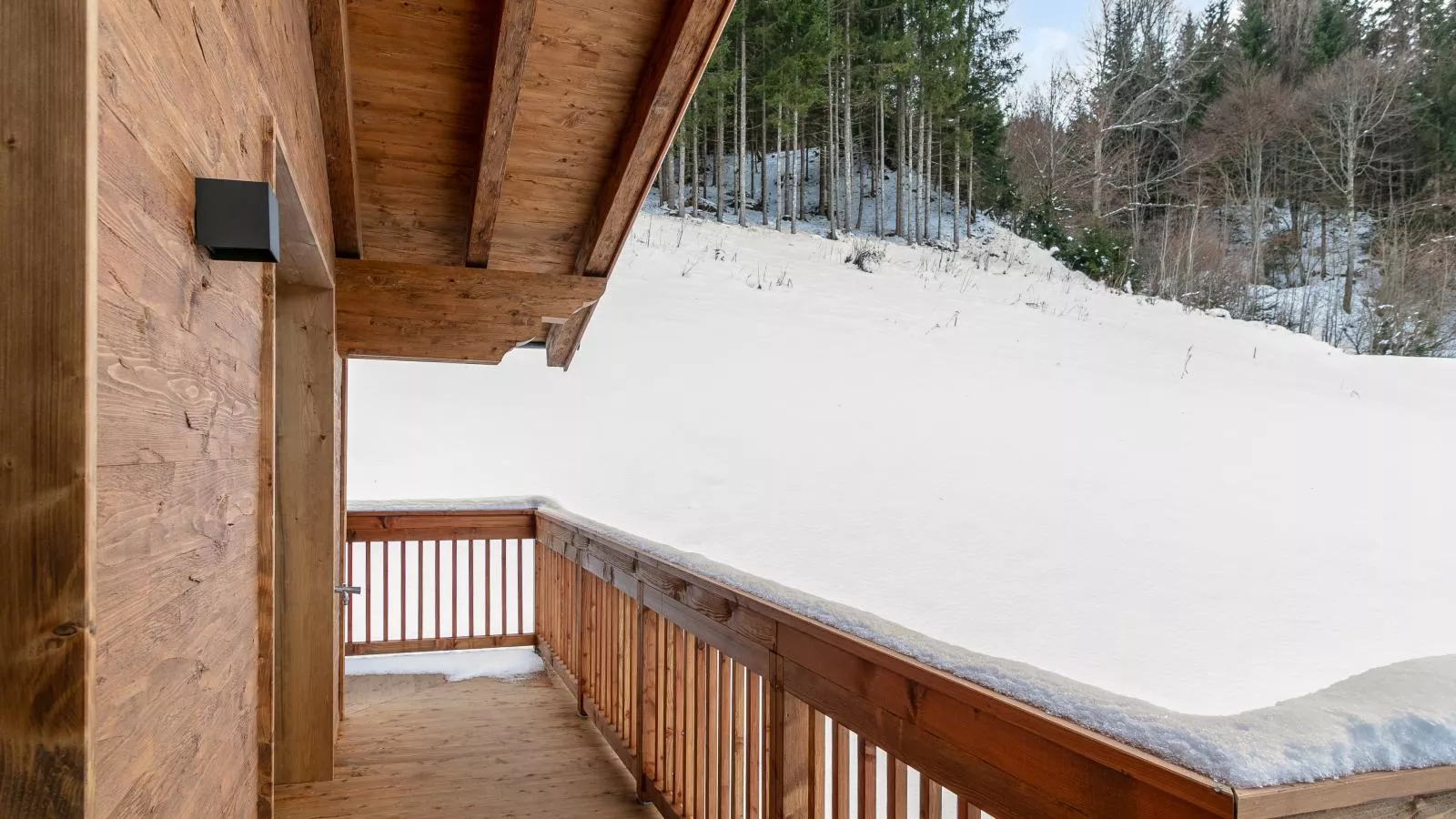 Tauernlodge Eben D4 - Terrasbalkon