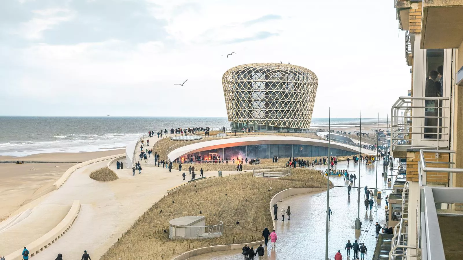 Mesanges  - 0401 + box 1/2 (Peter Pan)