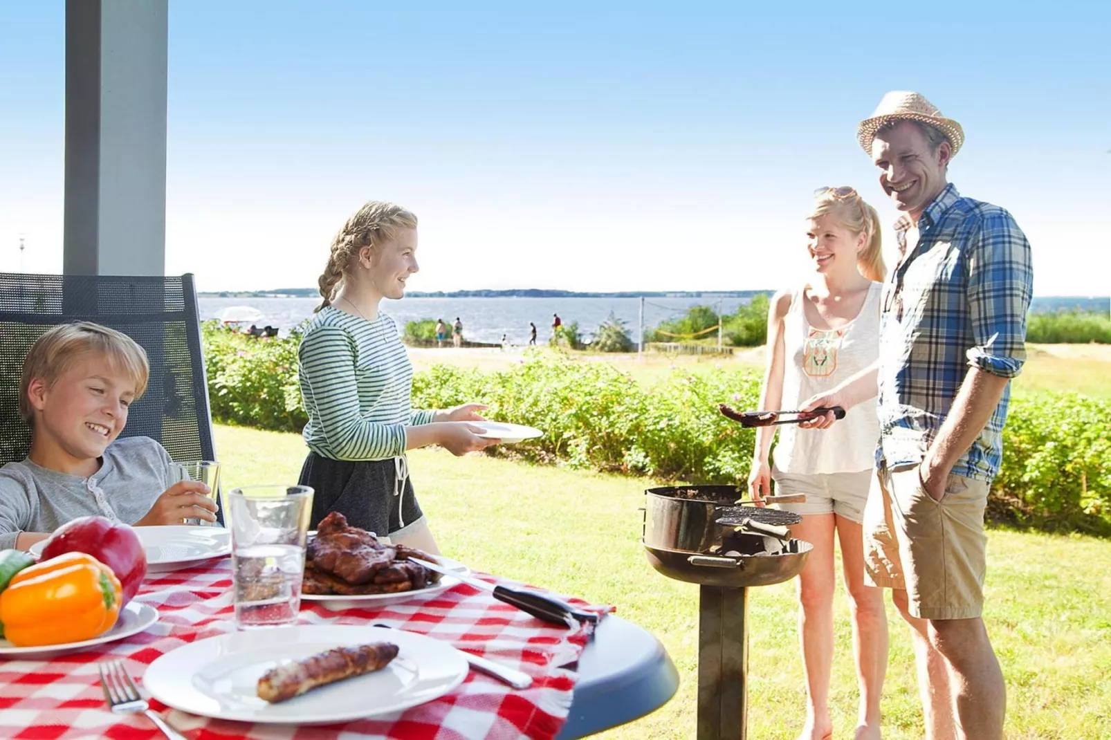 Haubentaucher 80-Gebieden zomer 5km