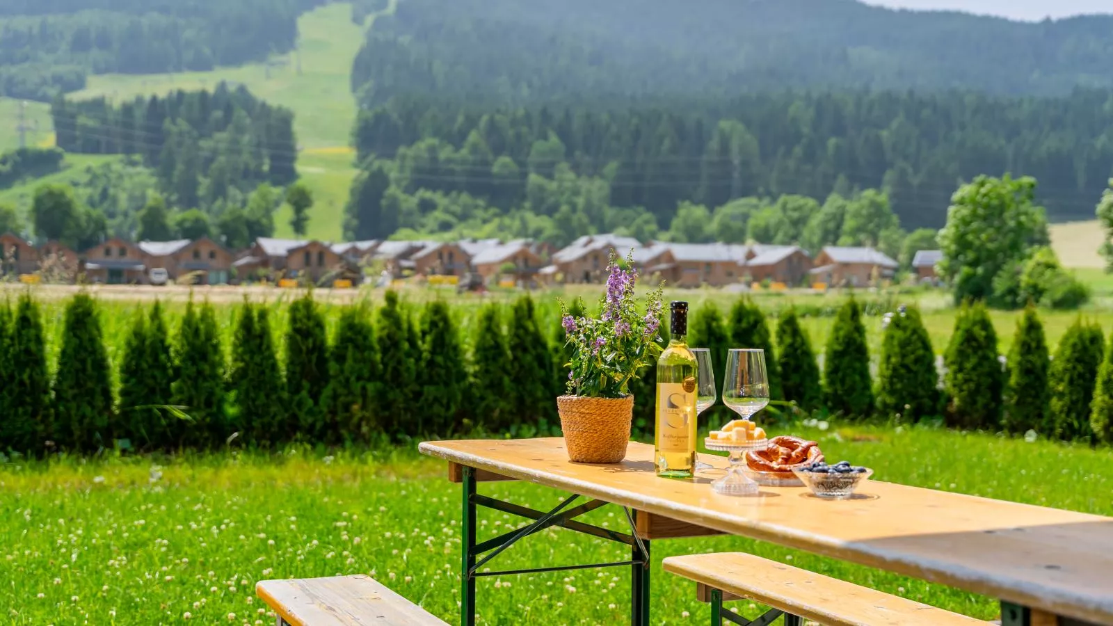 Bergzicht 2A-Terrasbalkon