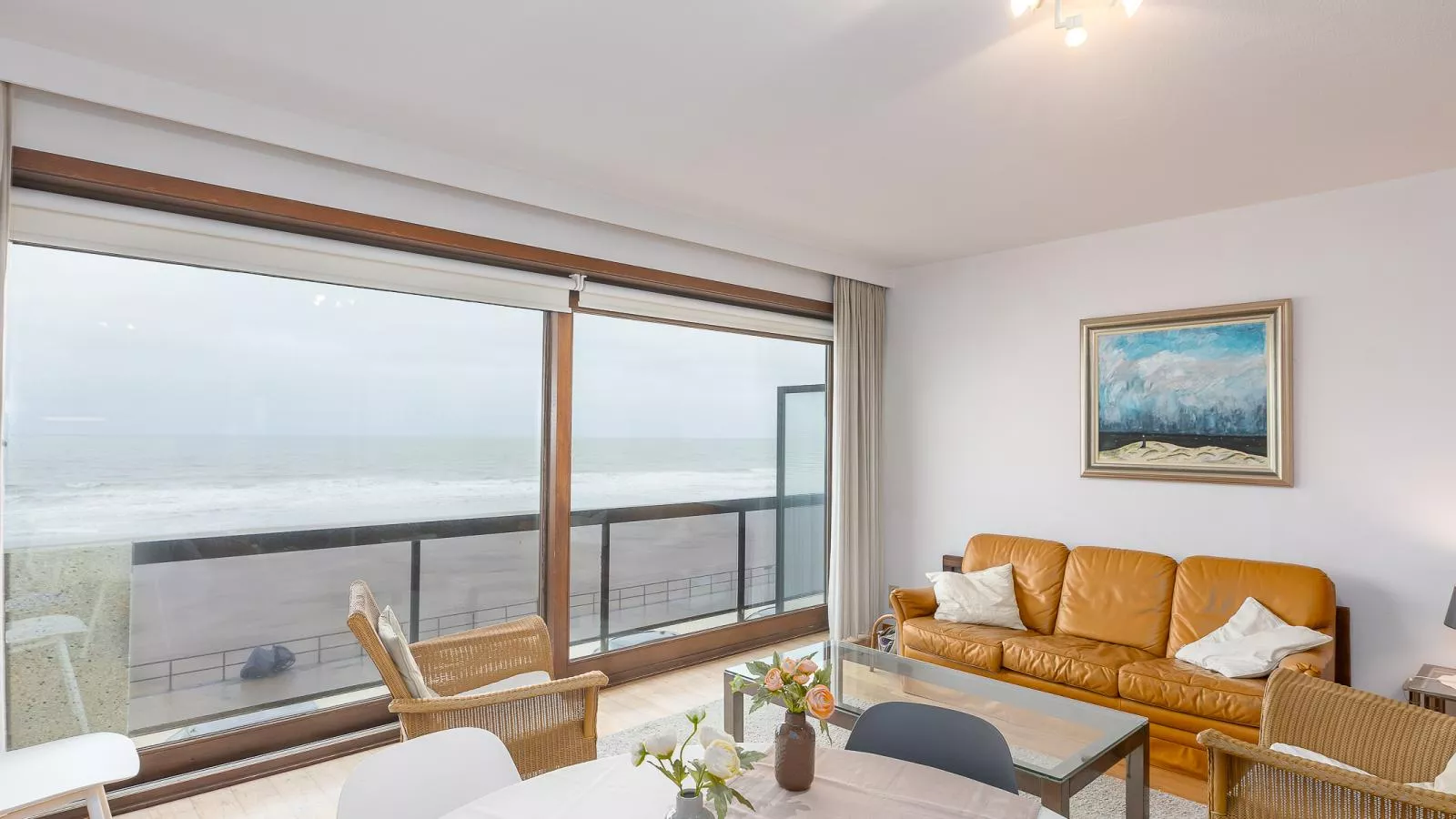 Duinroos - 0204 + park. 0204