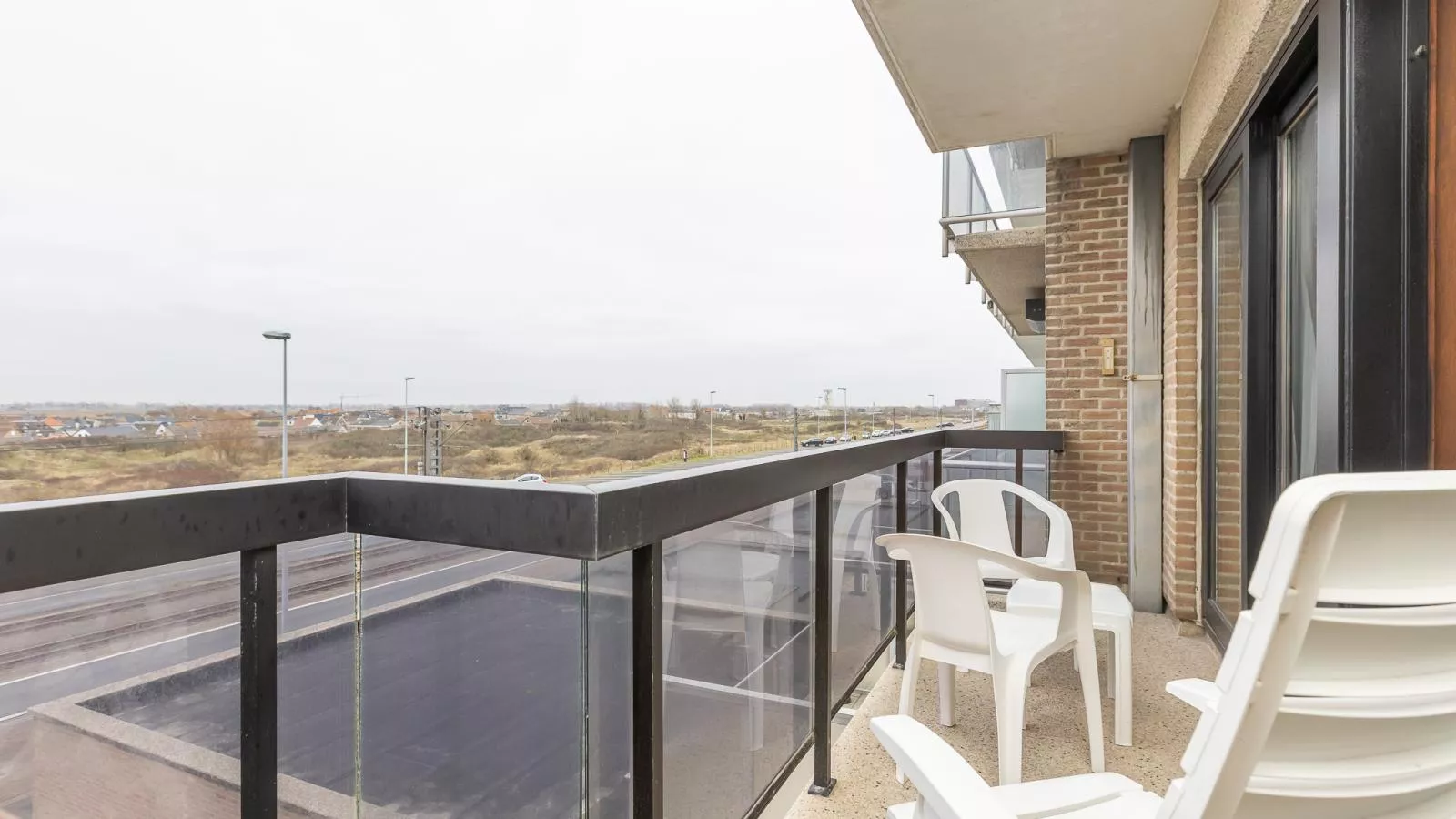 Duinroos - 0204 + park. 0204