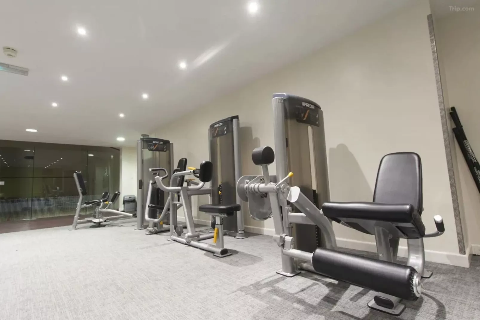 Junior Suite-Wellness