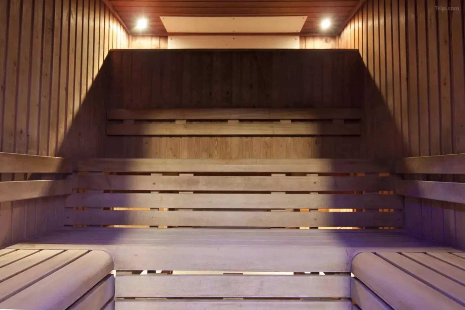 Junior Suite-Wellness