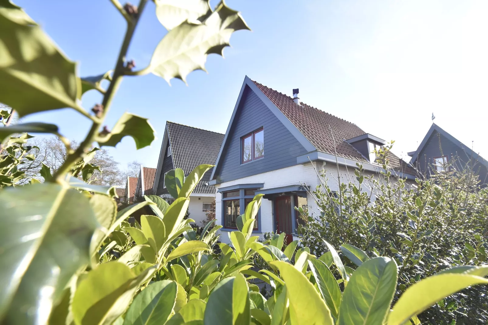 Bergens Roodborstje-Buitenkant zomer