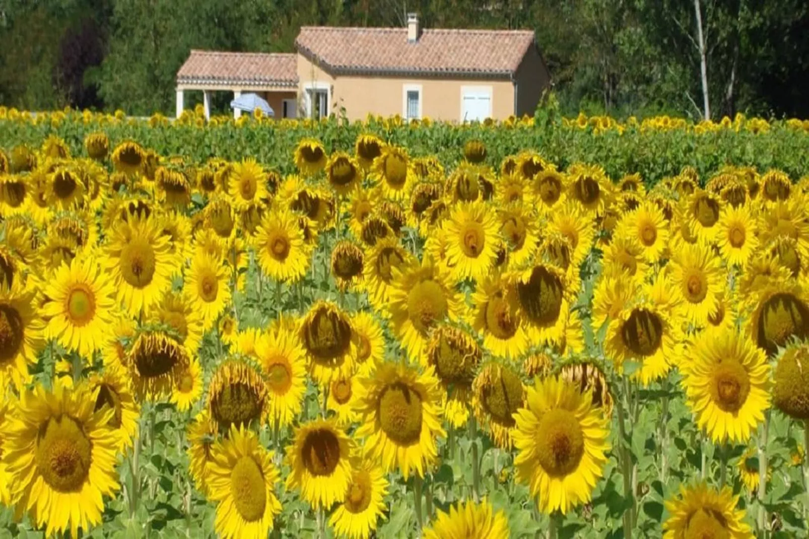 SCI Blue Hills Residence-Sfeer