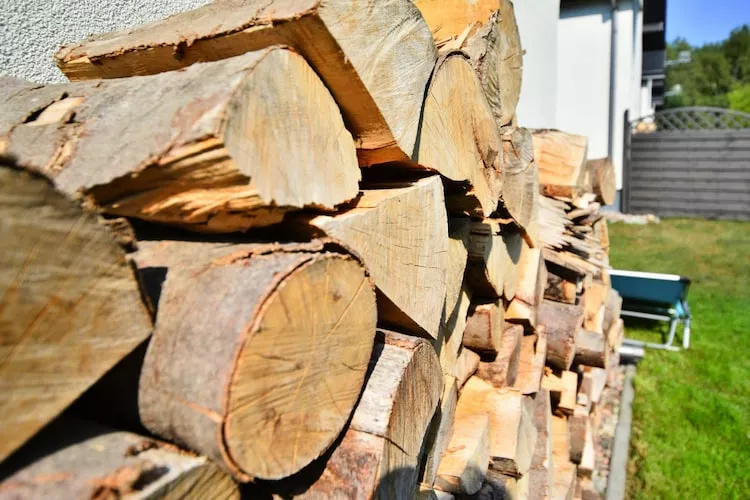 Domy wakacyjne w Rusinowie-Uitzicht