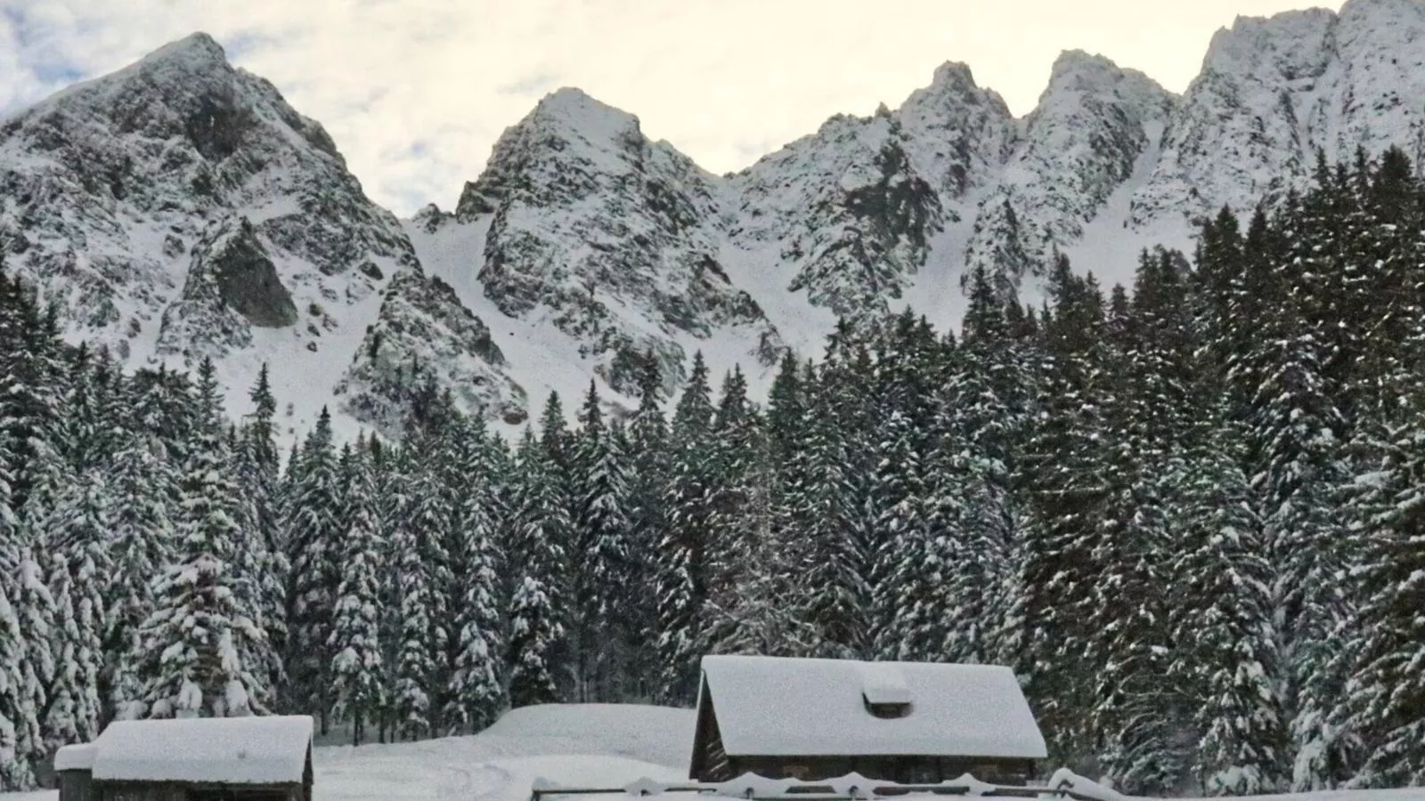 Bärenschanze - Gebied winter 20km