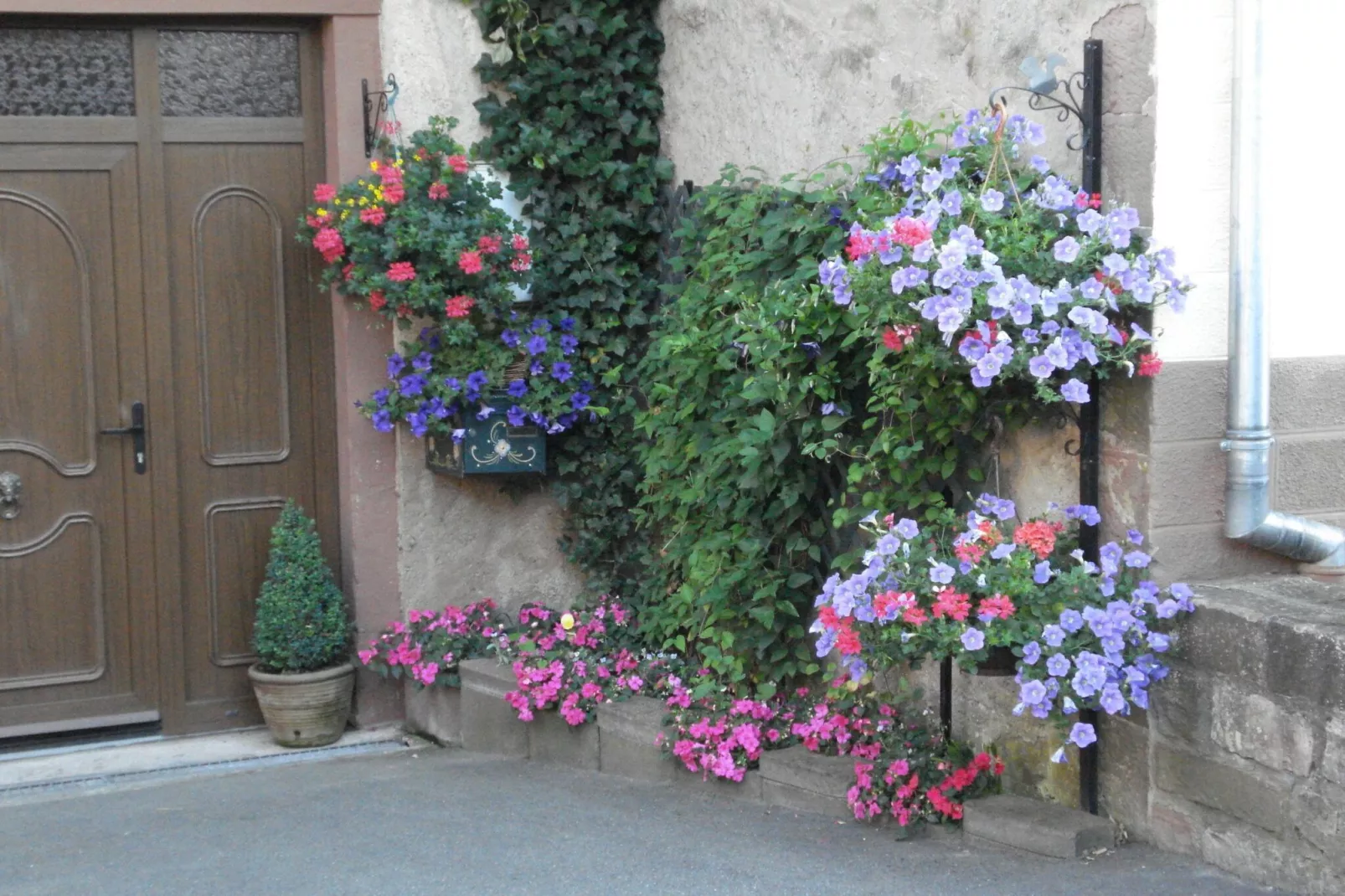 Le Gîte Fleuri