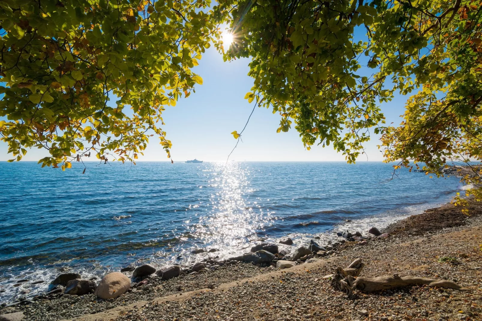 Rugen Suites - Gebieden zomer 20km