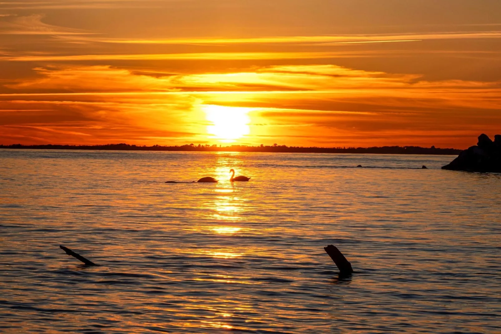 Rugen 2-bedroom suite 5 guest - Gebieden zomer 20km