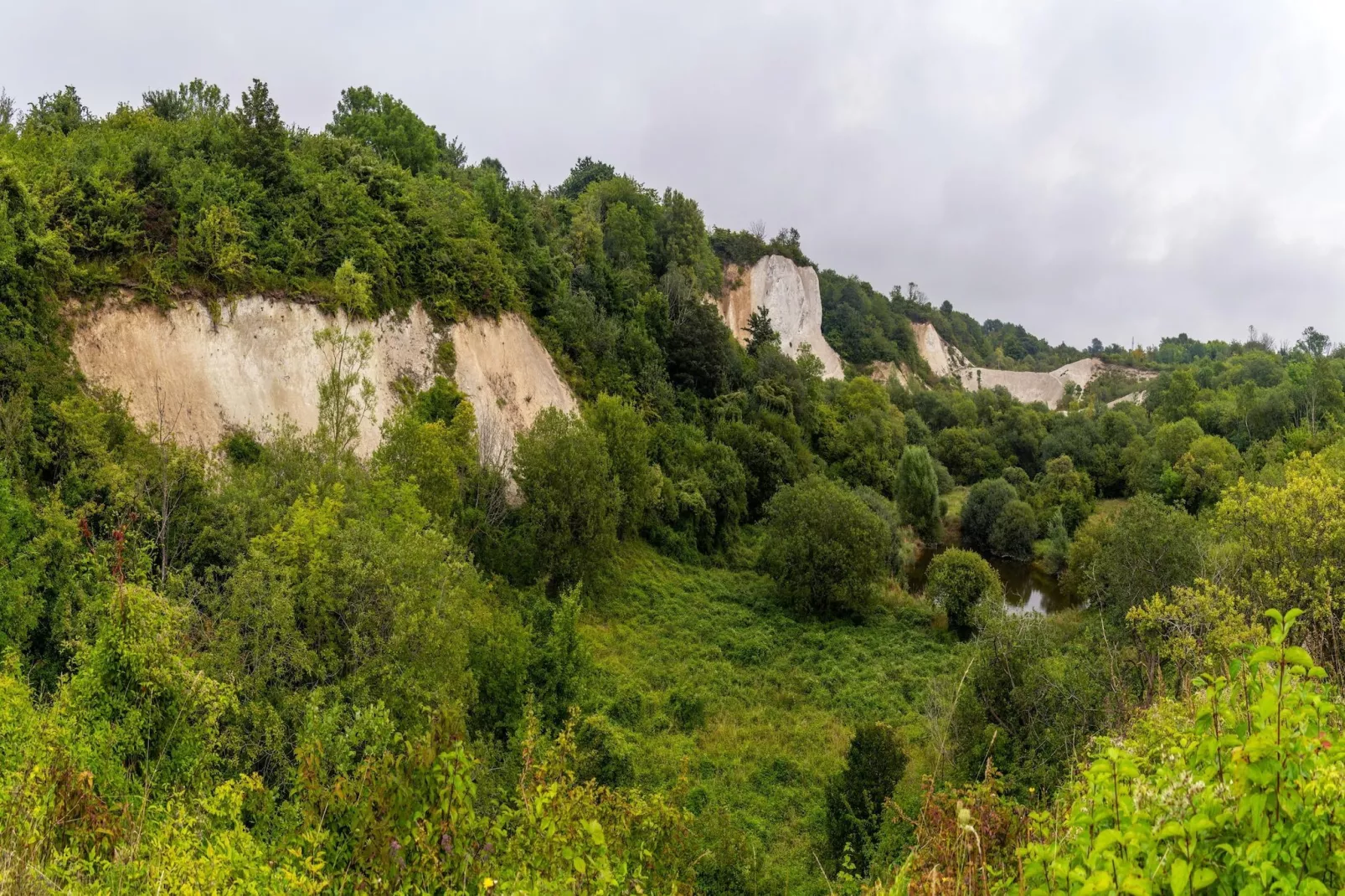 Rugen Deluxe 2 bedroom Apartment 3 guest - Gebieden zomer 20km