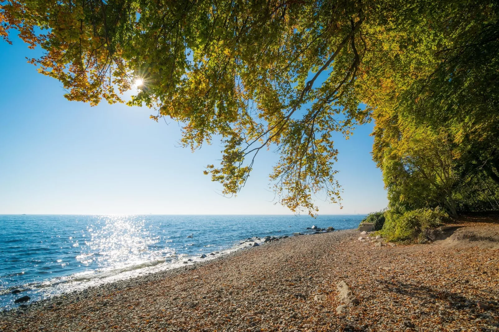 Rugen Standard Double Room - Gebieden zomer 20km