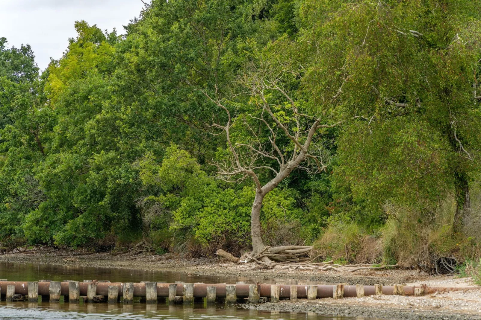 Rugen Standard Double Room - Gebieden zomer 20km