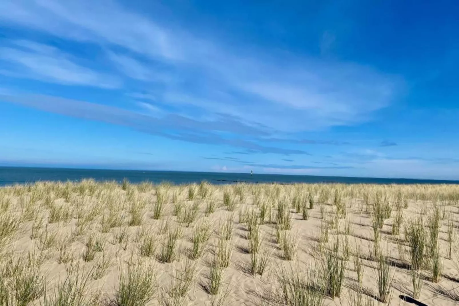 Residentie Lobelia-E1-Gebieden zomer 1km