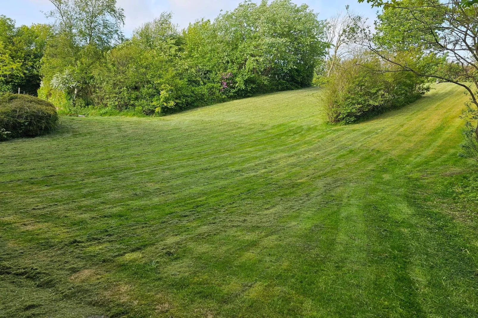 Business dobbeltværelse - Uitzicht