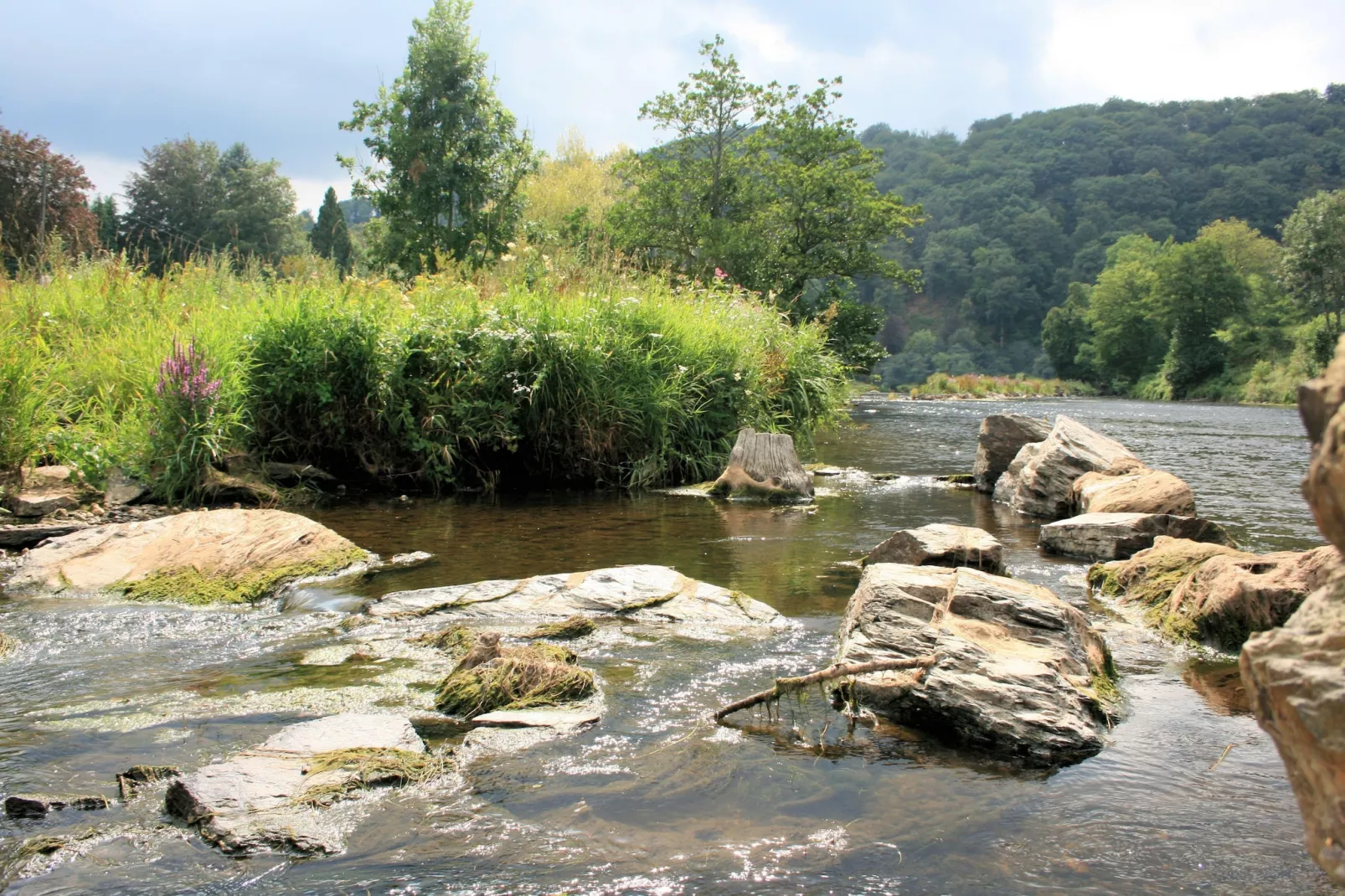 Au Coeur d'Alle - Triple Room with Bathroom-Gebieden zomer 20km