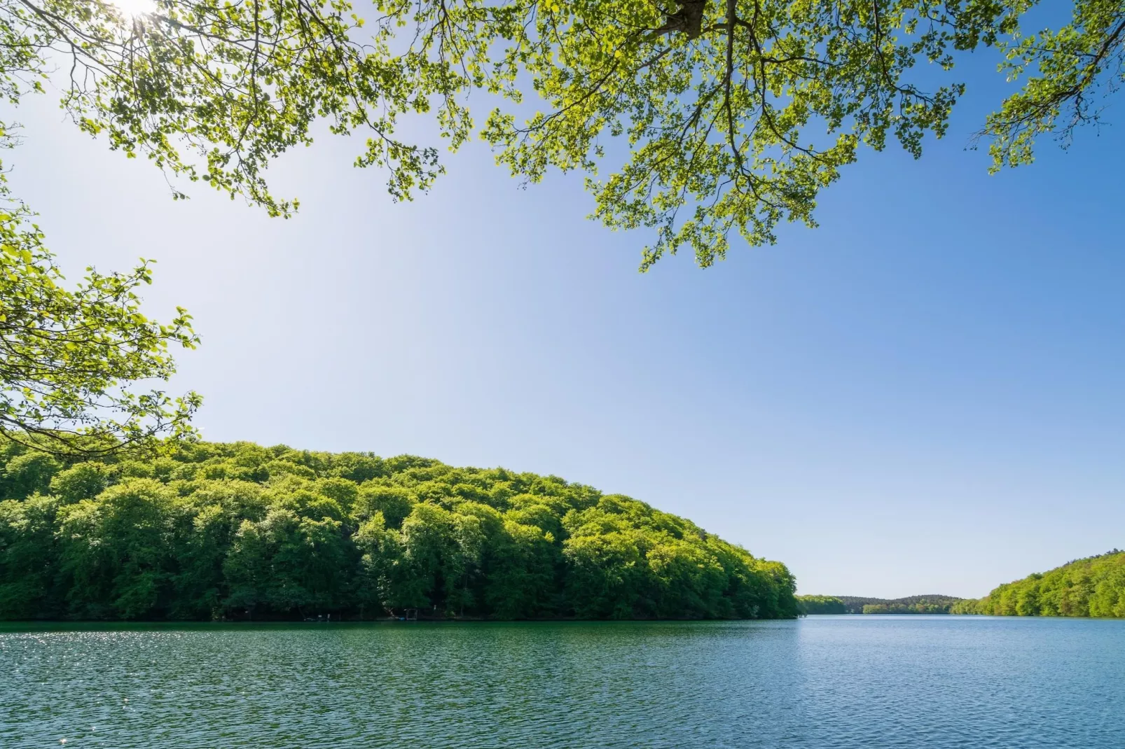Standard Twin - Gebieden zomer 20km